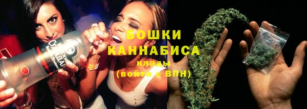 эйфоретик Бородино