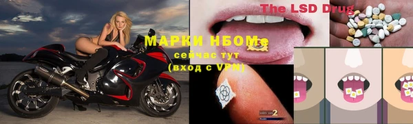 хмурый Верея