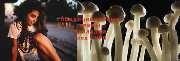 эйфоретик Бородино