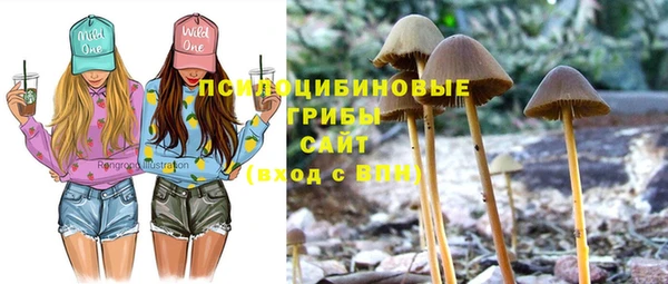 синтетический гашиш Бронницы