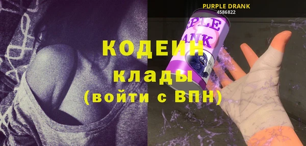 эйфоретик Бородино