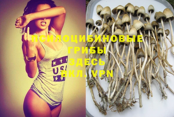 эйфоретик Бородино