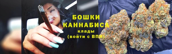 эйфоретик Бородино